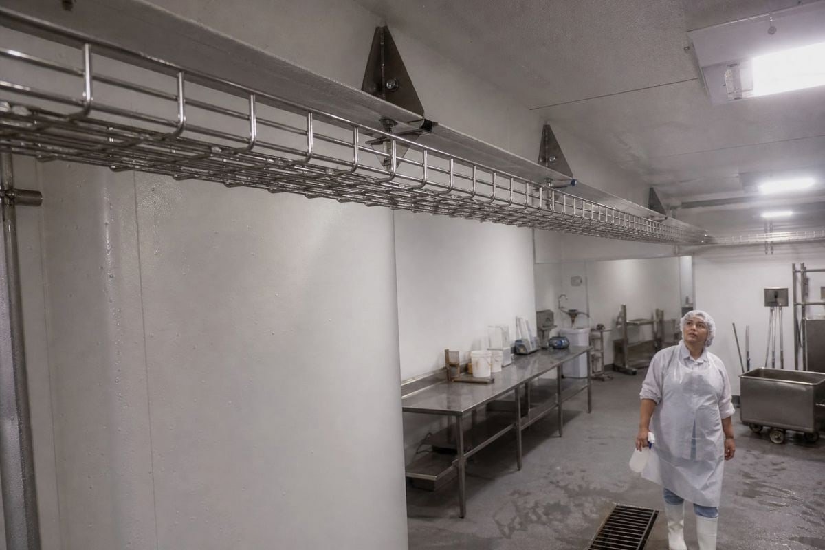 Industries using 304 wire mesh cable tray including food, pharma, and data centers (ID#3)